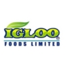 Igloo